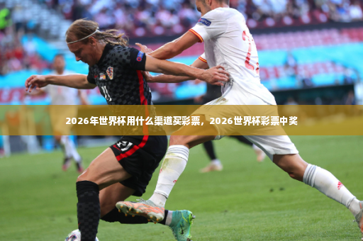 2026年世界杯用什么渠道买彩票，2026世界杯彩票中奖-第2张图片-体育博彩