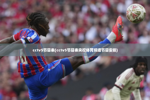 cctv5节目表(cctv5节目表央视体育频道节目安排)-第3张图片-体育博彩