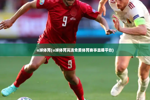 u球体育(u球体育高清免费体育赛事直播平台)-第2张图片-体育博彩 u球体育(u球体育高清免费体育赛事直播平台)-第2张图片-体育博彩
